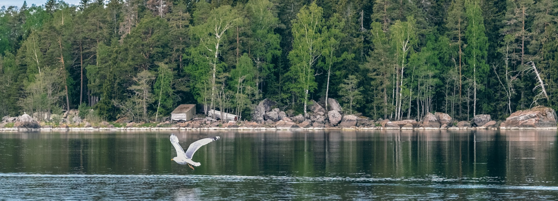 Flakanäs